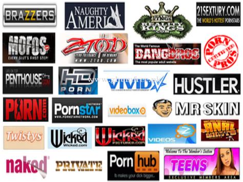 We’re truly living in an unprecedented age in the adult industry. . Porn studios